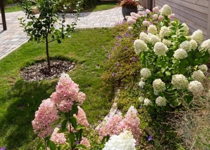 2 Apartment Hoyerswerda